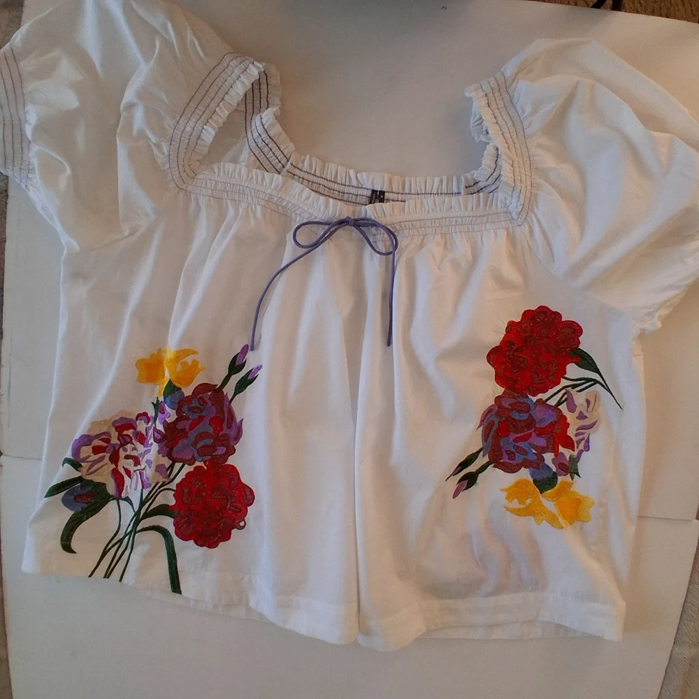 NEW Anthropologie Multicolor Embroidered Blouse Top Plus Sz 3X NWT *Flaw*